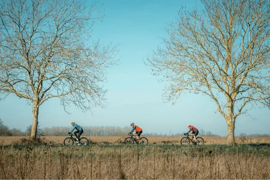 Three cyclists riding together on an Autumn day