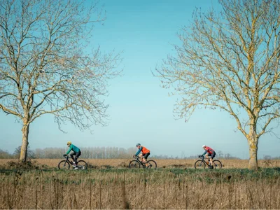 three cyclists riding past tree