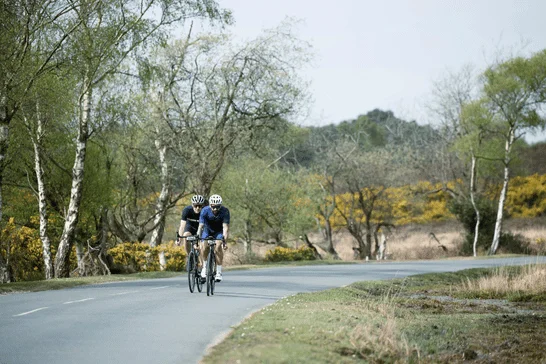 Two cyclists riding together at speed in the New Forest