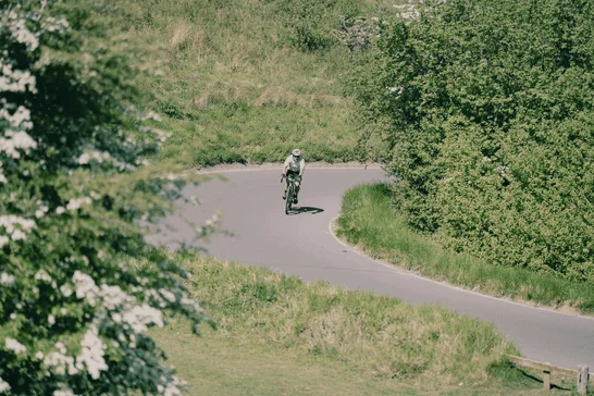 Cyclist riding box hill in the summer