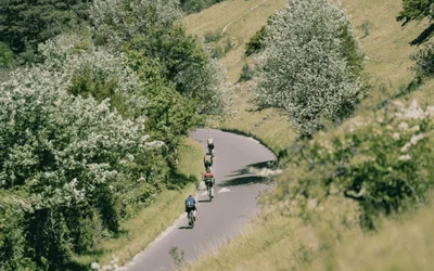 Multiple cyclists riding on box hill in Surrey